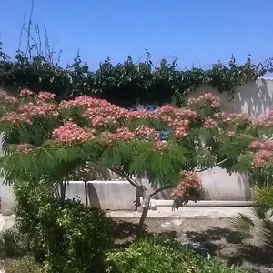  Casa vacanze Domus Austri Italia